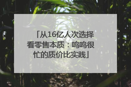 从16亿人次选择看零售本质：鸣鸣很忙的质价比实践