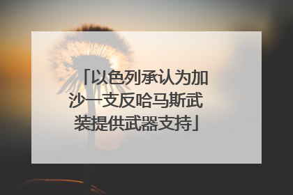 以色列承认为加沙一支反哈马斯武装提供武器支持