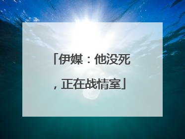 伊媒：他没死，正在战情室