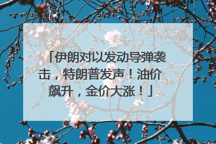 伊朗对以发动导弹袭击，特朗普发声！油价飙升，金价大涨！