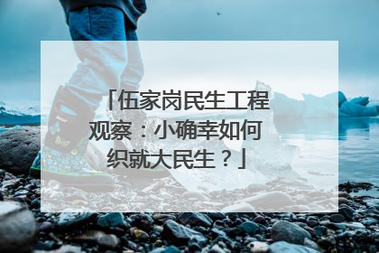 伍家岗民生工程观察：小确幸如何织就大民生？