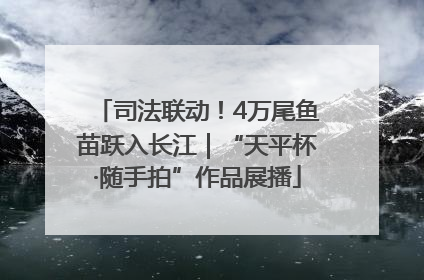 司法联动！4万尾鱼苗跃入长江｜“天平杯·随手拍”作品展播