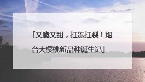 又脆又甜，扛冻扛裂！烟台大樱桃新品种诞生记