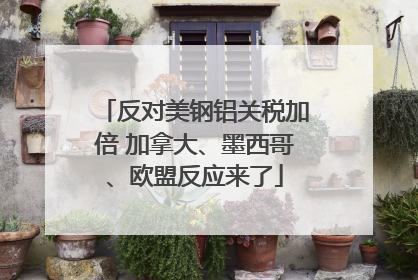 反对美钢铝关税加倍 加拿大、墨西哥、欧盟反应来了