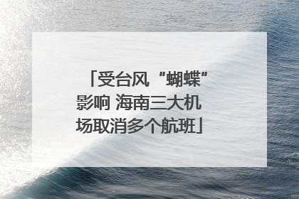 受台风“蝴蝶”影响 海南三大机场取消多个航班