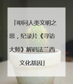 叩问人类文明之思，纪录片《寻访大师》解码法兰西文化基因