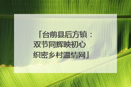 台前县后方镇：双节同辉映初心 织密乡村温情网