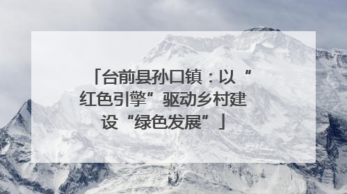 台前县孙口镇：以“红色引擎”驱动乡村建设“绿色发展”