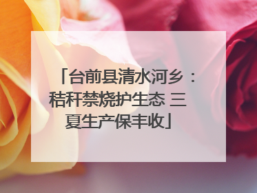 台前县清水河乡：秸秆禁烧护生态 三夏生产保丰收