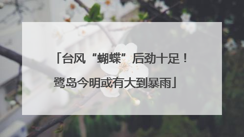 台风“蝴蝶”后劲十足！鹭岛今明或有大到暴雨