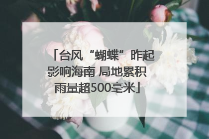 台风“蝴蝶”昨起影响海南 局地累积雨量超500毫米