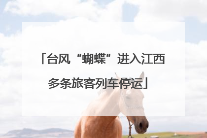 台风“蝴蝶”进入江西 多条旅客列车停运