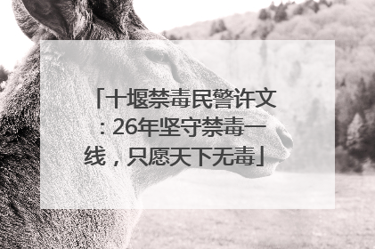 十堰禁毒民警许文：26年坚守禁毒一线，只愿天下无毒