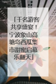 千名游客共享盛宴！宁波象山高塘岛西瓜集市甜蜜启幕乐翻天