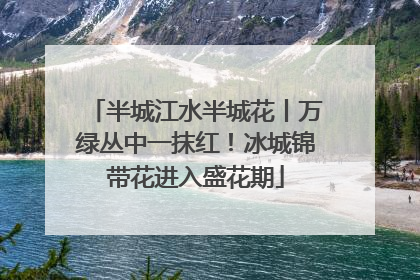 半城江水半城花丨万绿丛中一抹红！冰城锦带花进入盛花期