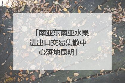 南亚东南亚水果进出口交易集散中心落地昆明