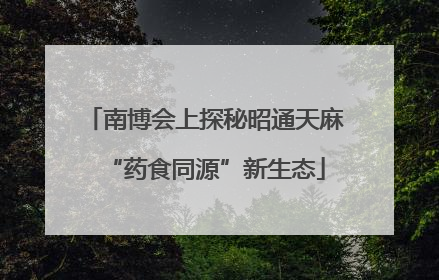 南博会上探秘昭通天麻“药食同源”新生态