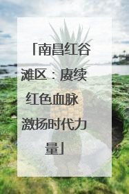 南昌红谷滩区：赓续红色血脉 激扬时代力量