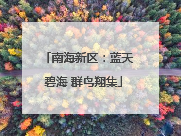 南海新区：蓝天碧海 群鸟翔集
