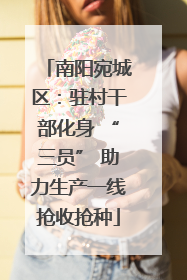 南阳宛城区：驻村干部化身 “三员” 助力生产一线抢收抢种