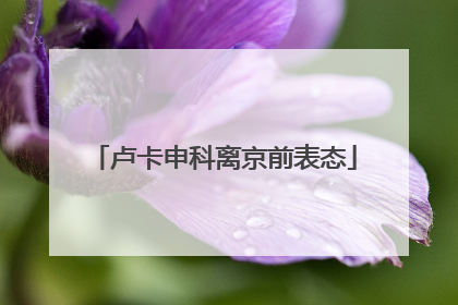 卢卡申科离京前表态