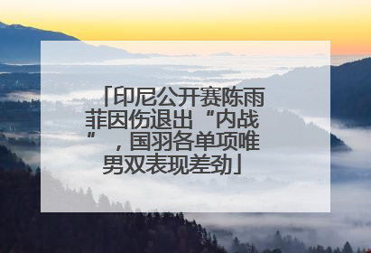 印尼公开赛陈雨菲因伤退出“内战”，国羽各单项唯男双表现差劲