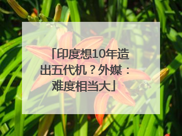 印度想10年造出五代机？外媒：难度相当大