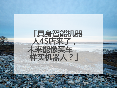具身智能机器人4S店来了，未来能像买车一样买机器人？