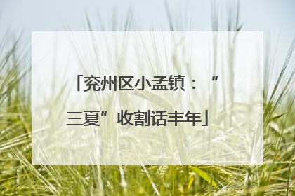 兖州区小孟镇：“三夏”收割话丰年