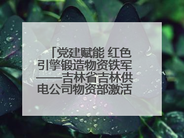党建赋能 红色引擎锻造物资铁军——吉林省吉林供电公司物资部激活供应链新动能
