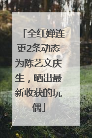 全红婵连更2条动态为陈艺文庆生，晒出最新收获的玩偶