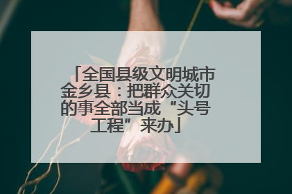 全国县级文明城市金乡县：把群众关切的事全部当成“头号工程”来办