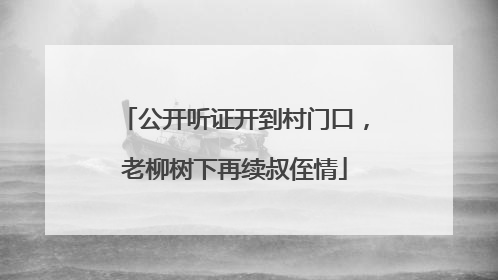 公开听证开到村门口，老柳树下再续叔侄情