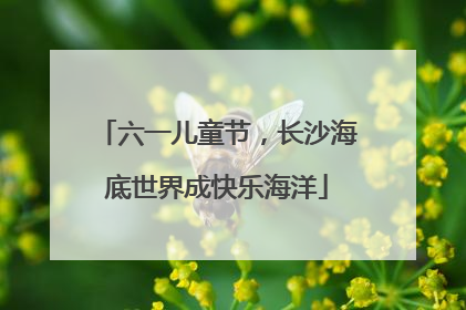 六一儿童节，长沙海底世界成快乐海洋