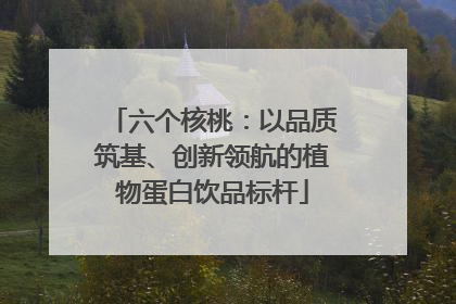 六个核桃：以品质筑基、创新领航的植物蛋白饮品标杆