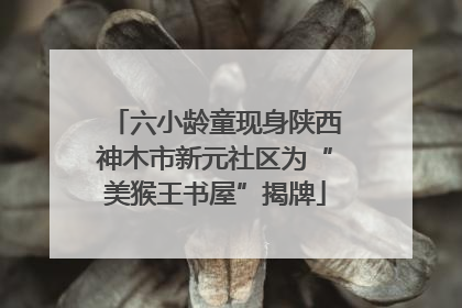 六小龄童现身陕西神木市新元社区为“美猴王书屋”揭牌