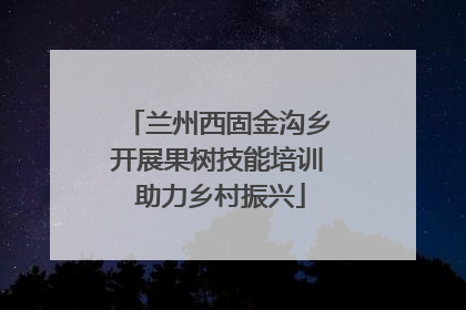 兰州西固金沟乡开展果树技能培训 助力乡村振兴