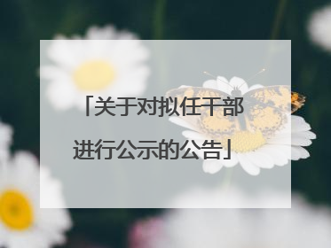 关于对拟任干部进行公示的公告