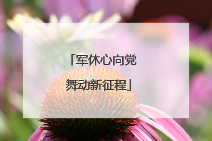 军休心向党 舞动新征程