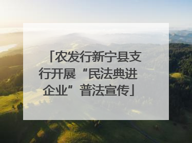 农发行新宁县支行开展“民法典进企业”普法宣传