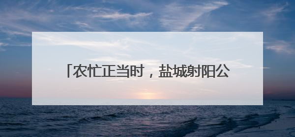 农忙正当时，盐城射阳公安护航田间地头保平安