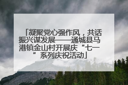 凝聚党心强作风，共话振兴谋发展——通城县马港镇金山村开展庆“七一”系列庆祝活动