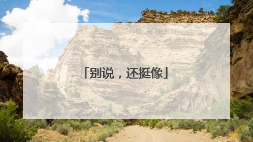 别说，还挺像