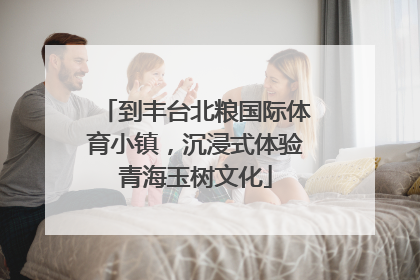 到丰台北粮国际体育小镇，沉浸式体验青海玉树文化