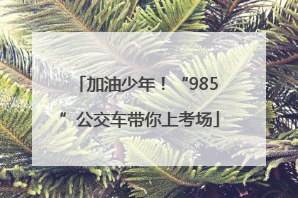 加油少年！“985”公交车带你上考场