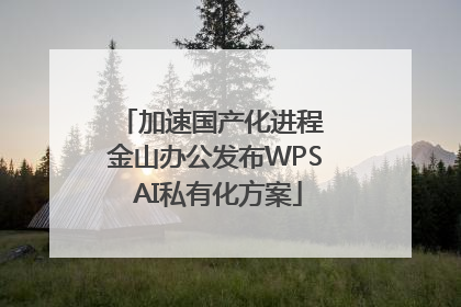 加速国产化进程 金山办公发布WPS AI私有化方案