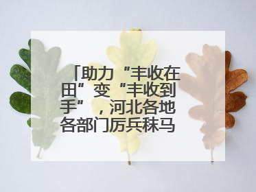 助力“丰收在田”变“丰收到手”，河北各地各部门厉兵秣马迎战“三夏”