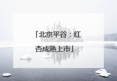 北京平谷：红杏成熟上市