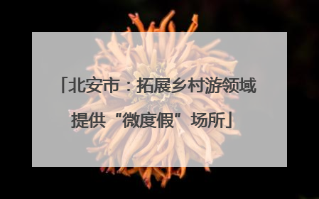 北安市：拓展乡村游领域 提供“微度假”场所