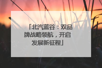 北汽蓝谷：双品牌战略领航，开启发展新征程